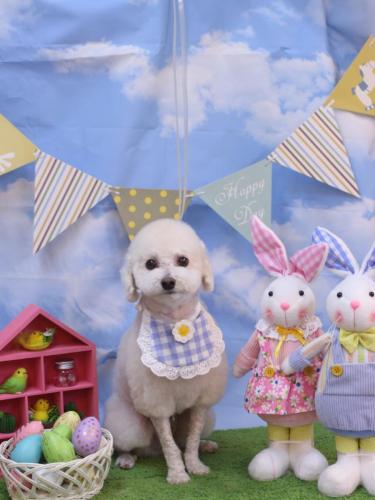 20240302ふぁるくん